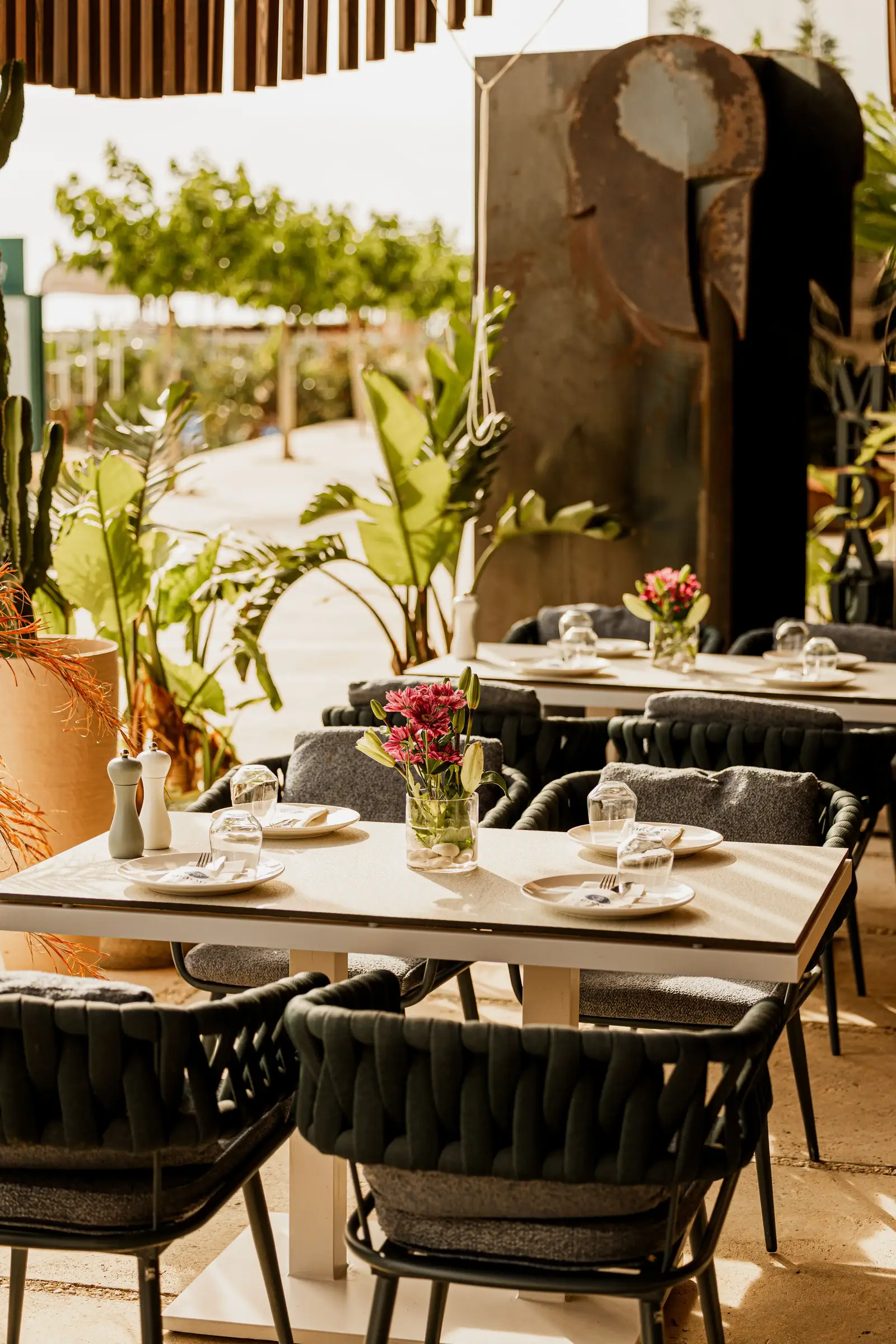 Medaur restaurant atmosphere