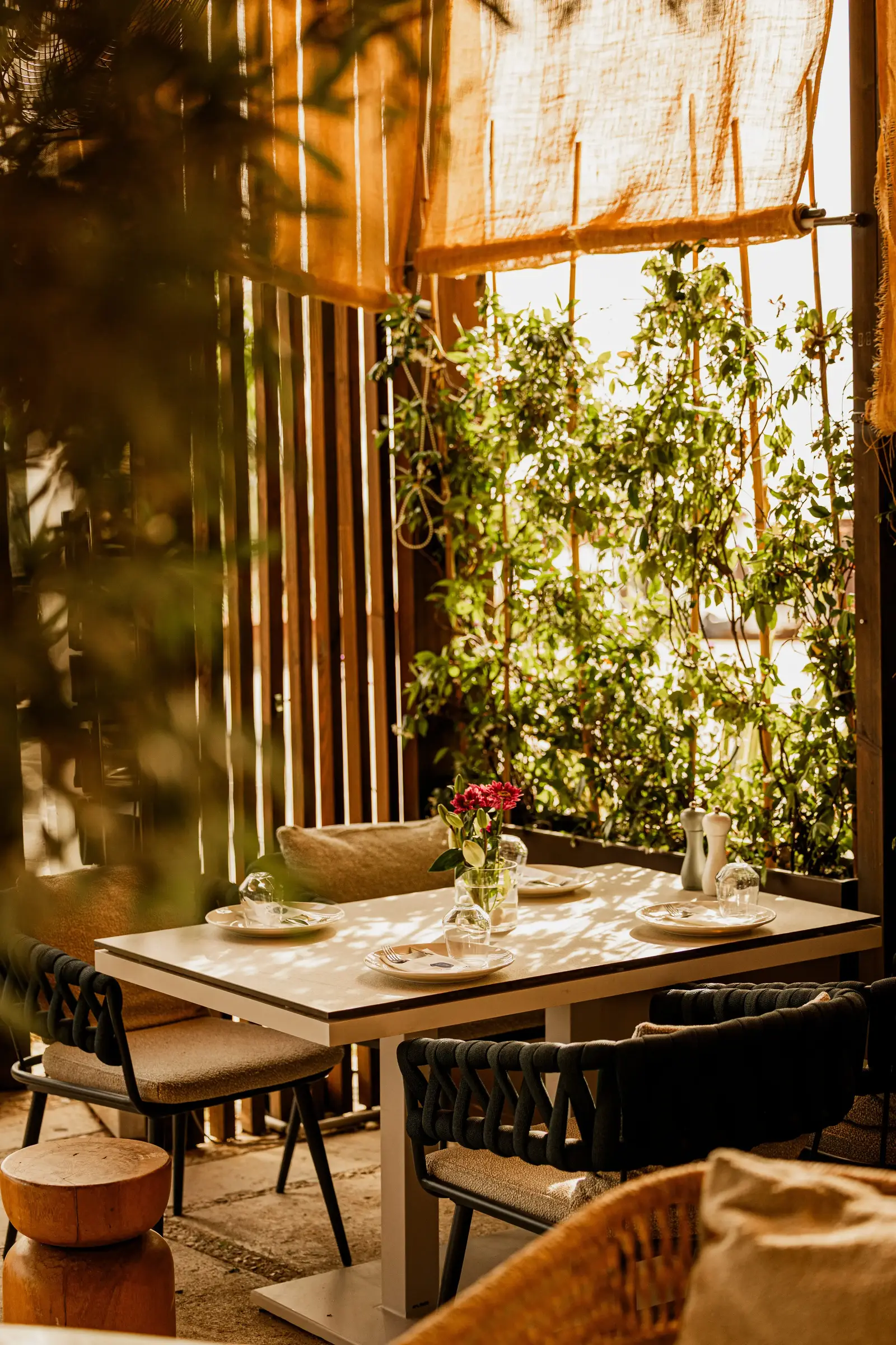Medaur By Beef House interior — Green Coast Palasë Albania