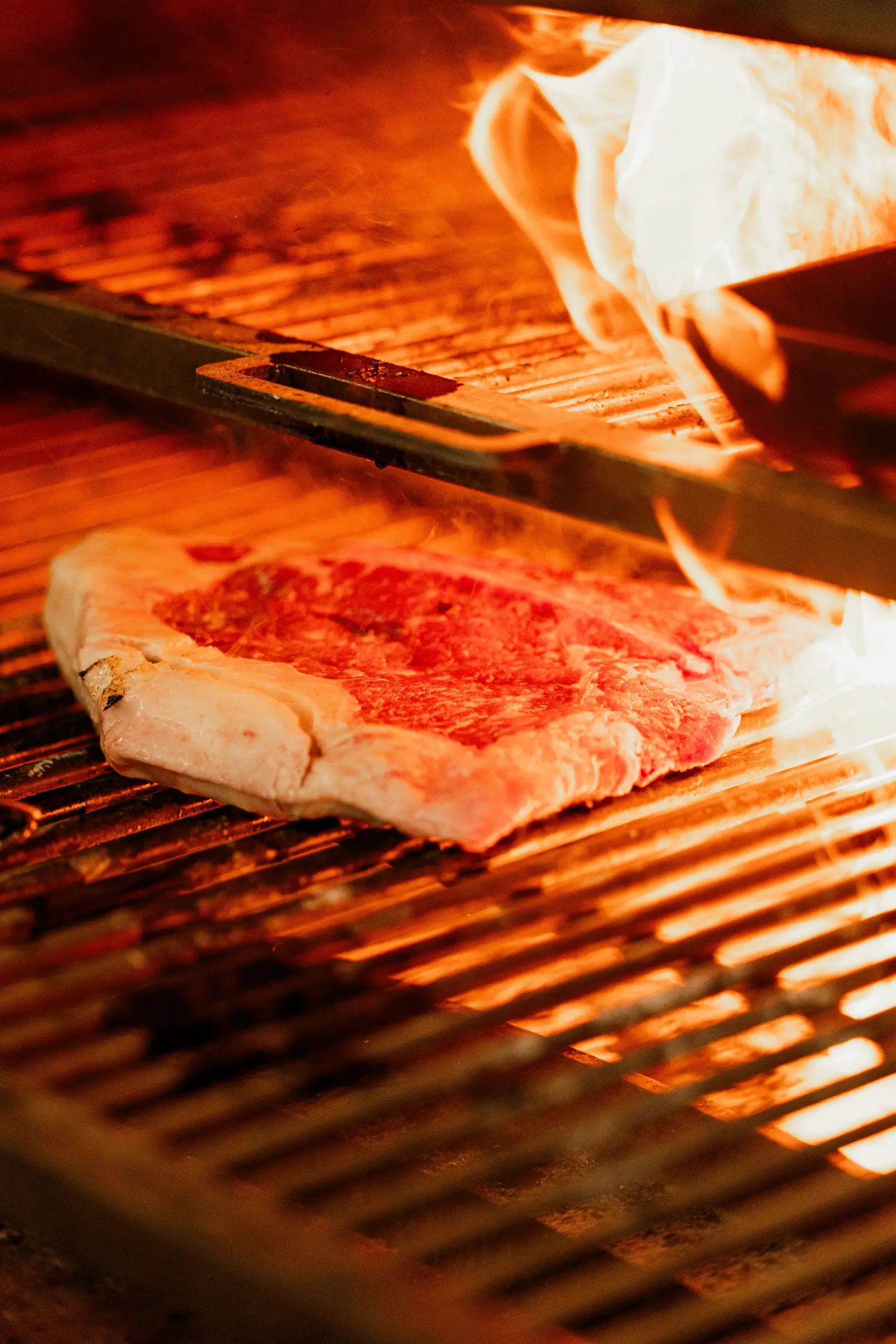 Premium beef at Medaur